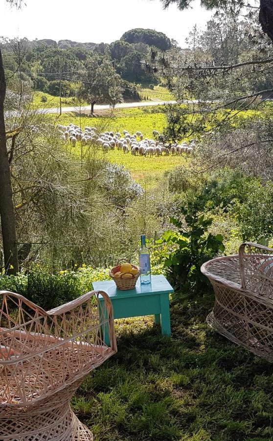 Boheme Valdareina, Piscine Chauffee, Benagil-Carvoeiro Appartement Carvoeiro  Buitenkant foto